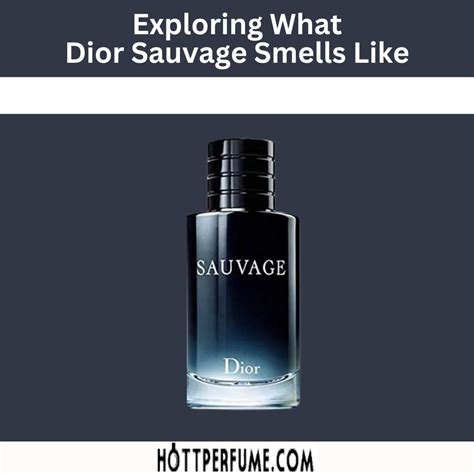 what smells like Dior sauvage